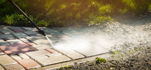 Best Animal Enclosure Cleaning  in Firthcliffe, NY